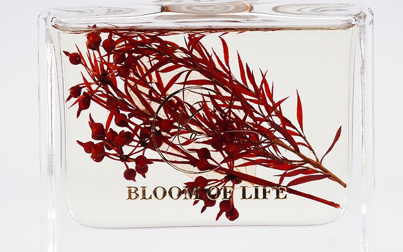 Xo Reed Diffuser - Grasse Style