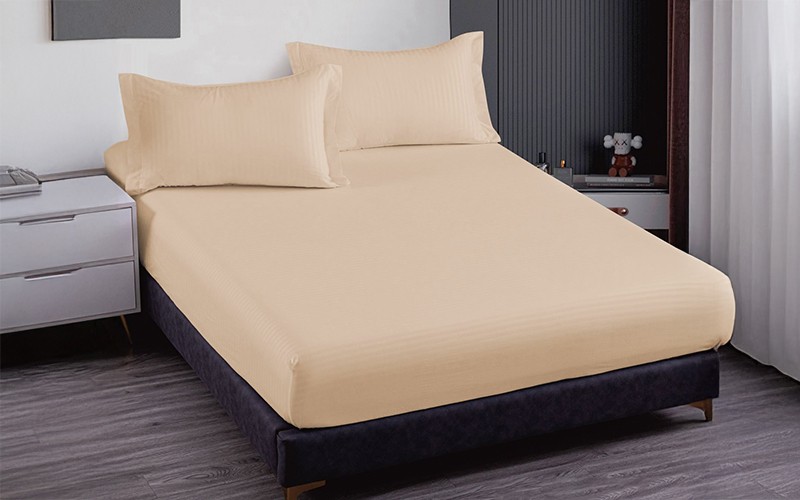 Lily Stripe BedSheet Set 3 PCS - King Beige